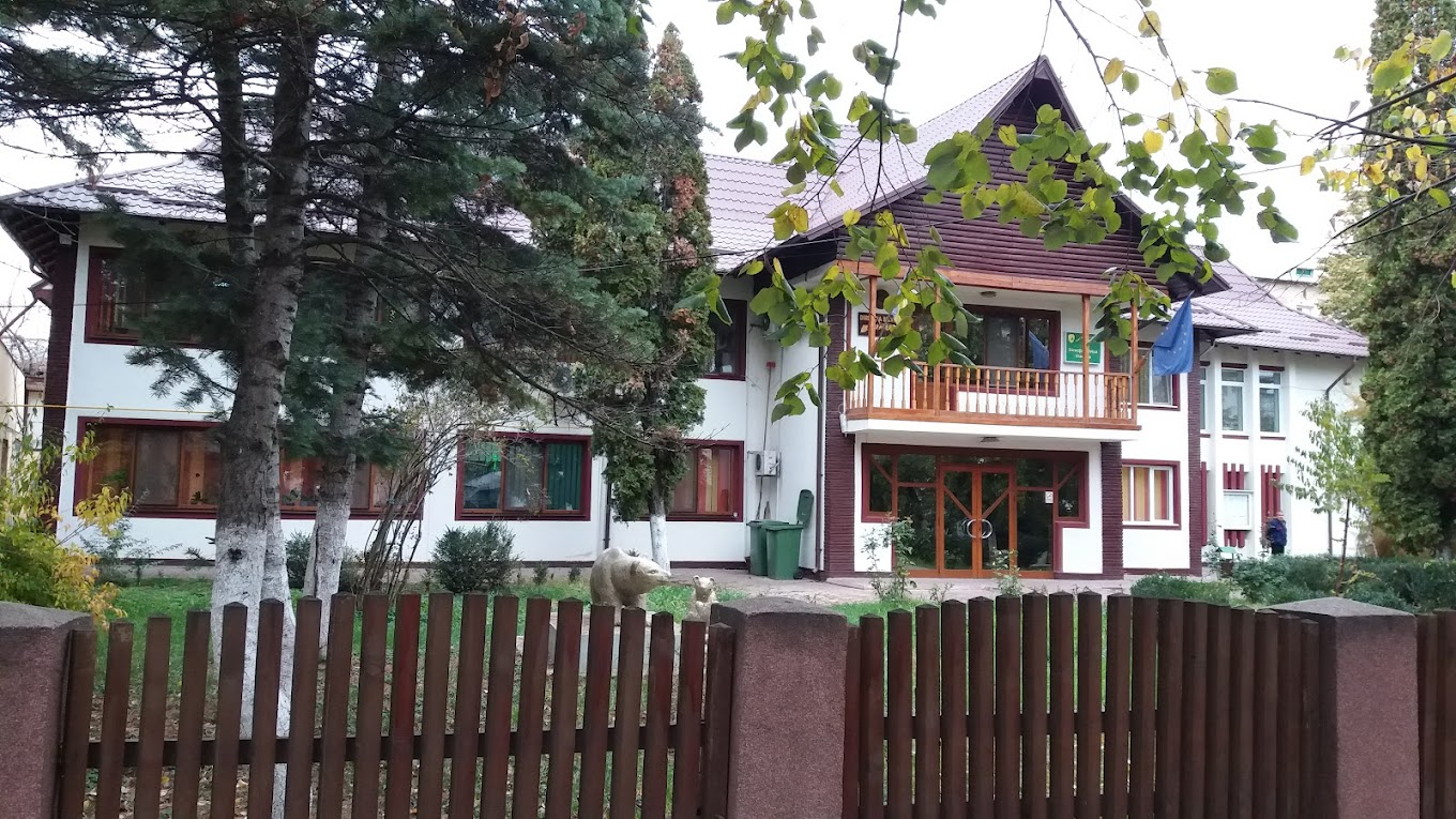 Pensionari de lux la Direcția Silvică Vrancea: Bonusuri care sfidează bunul-simț în plină criză economică 1 directia silvica focsani