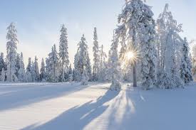 ianuarie ninge