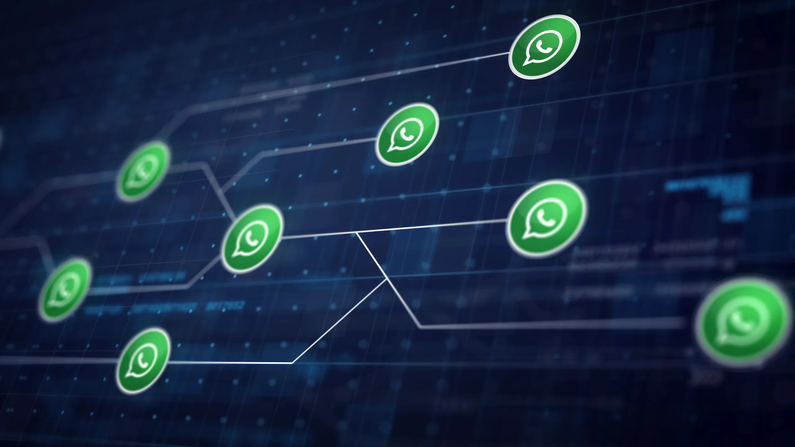 Alertă de securitate pentru utilizatorii Android. Vulnerabilități critice 1 inselatorie whatsapp