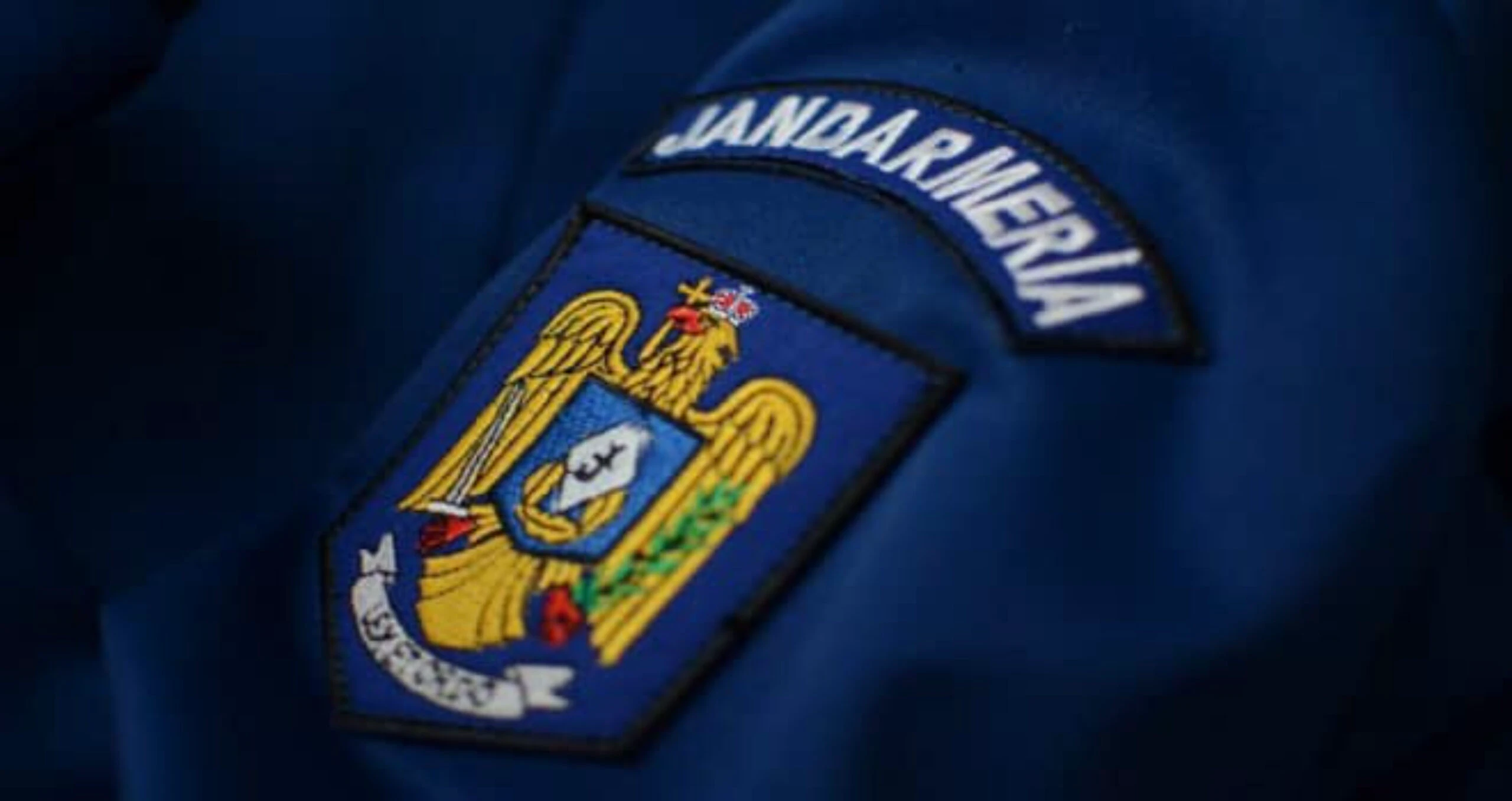 Jandarmii vrânceni acuzați de abuz, declarați nevinovați de autorități 1 jandarmi nevinovati