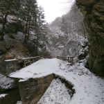 Aventură de iarnă în Munții Vrancei: Expediție pe Muntele Tisaru și Cheile Tișiței 5 muntii vrancei1