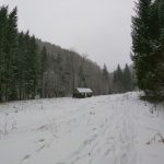 Aventură de iarnă în Munții Vrancei: Expediție pe Muntele Tisaru și Cheile Tișiței 2 muntii vrancei2