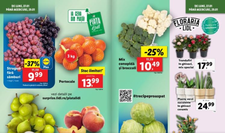 Oferte Lidl săptămâna aceasta: Reduceri spectaculoase la alimente, produse grecești și articole de uz casnic 1 oferte lidl