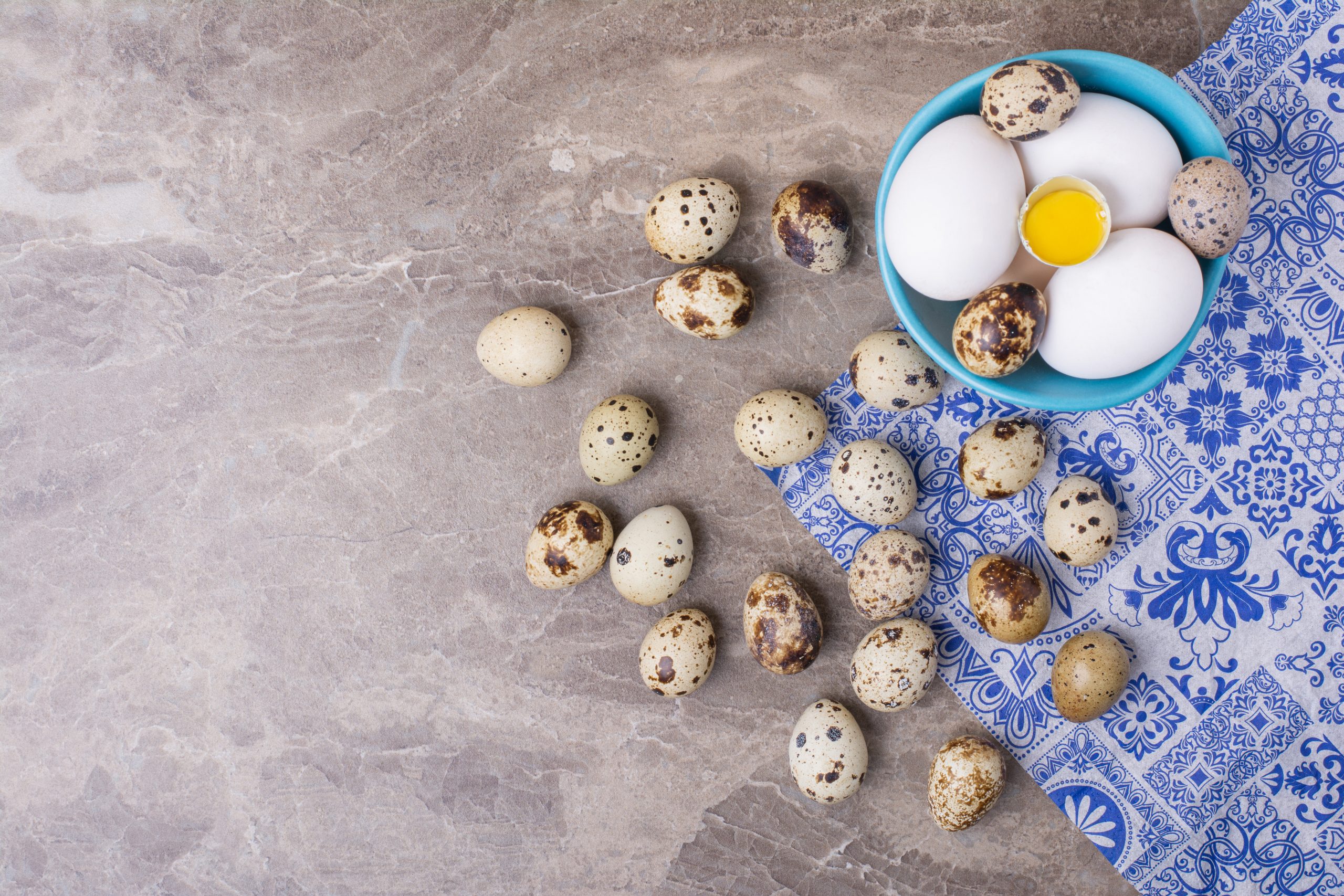 chicken quail eggs blue cup scaled