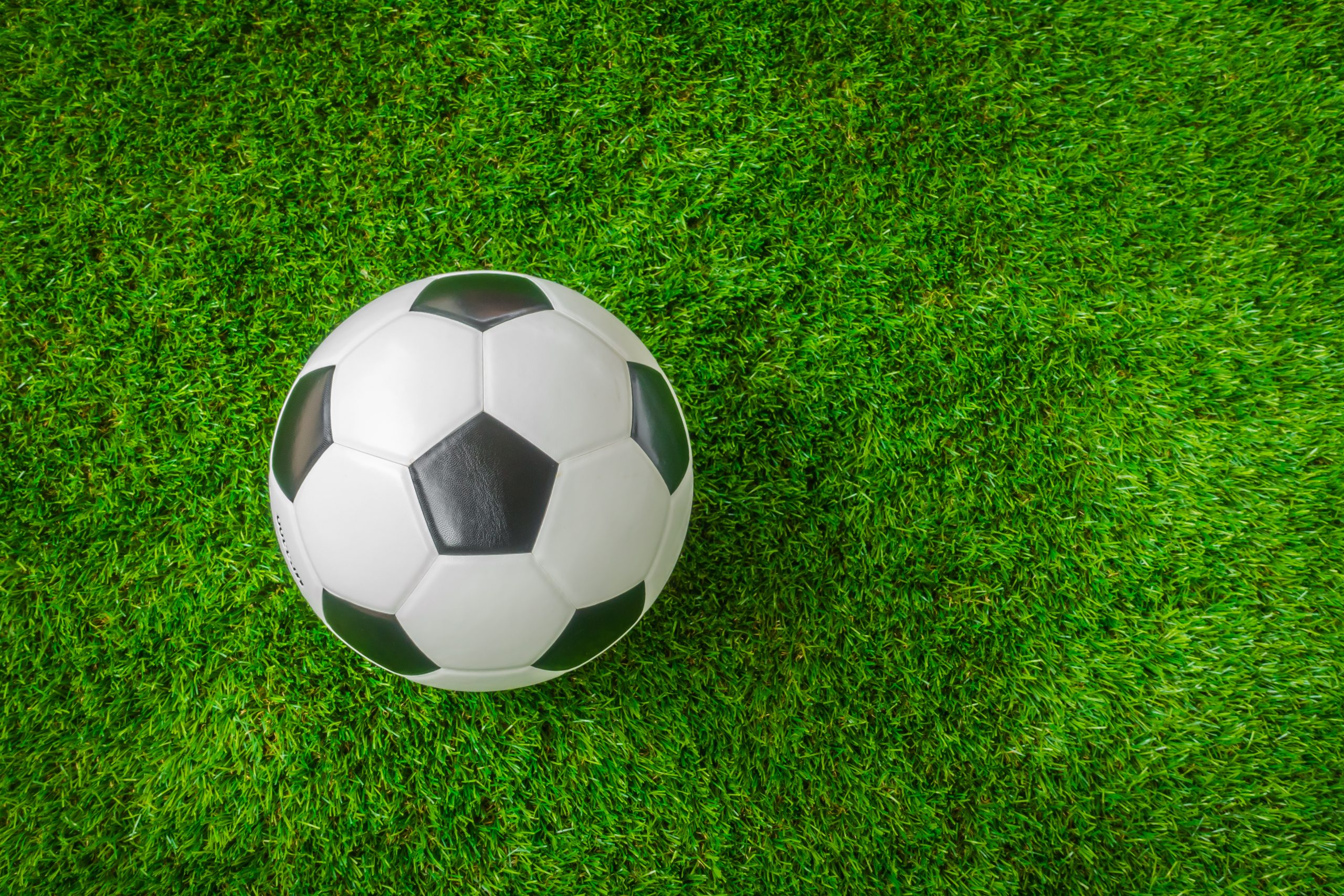 Elvir Koljić la Rapid: Transfer surpriză după refuzul FCSB și despărțirea de Craiova 1 soccer ball green grass scaled