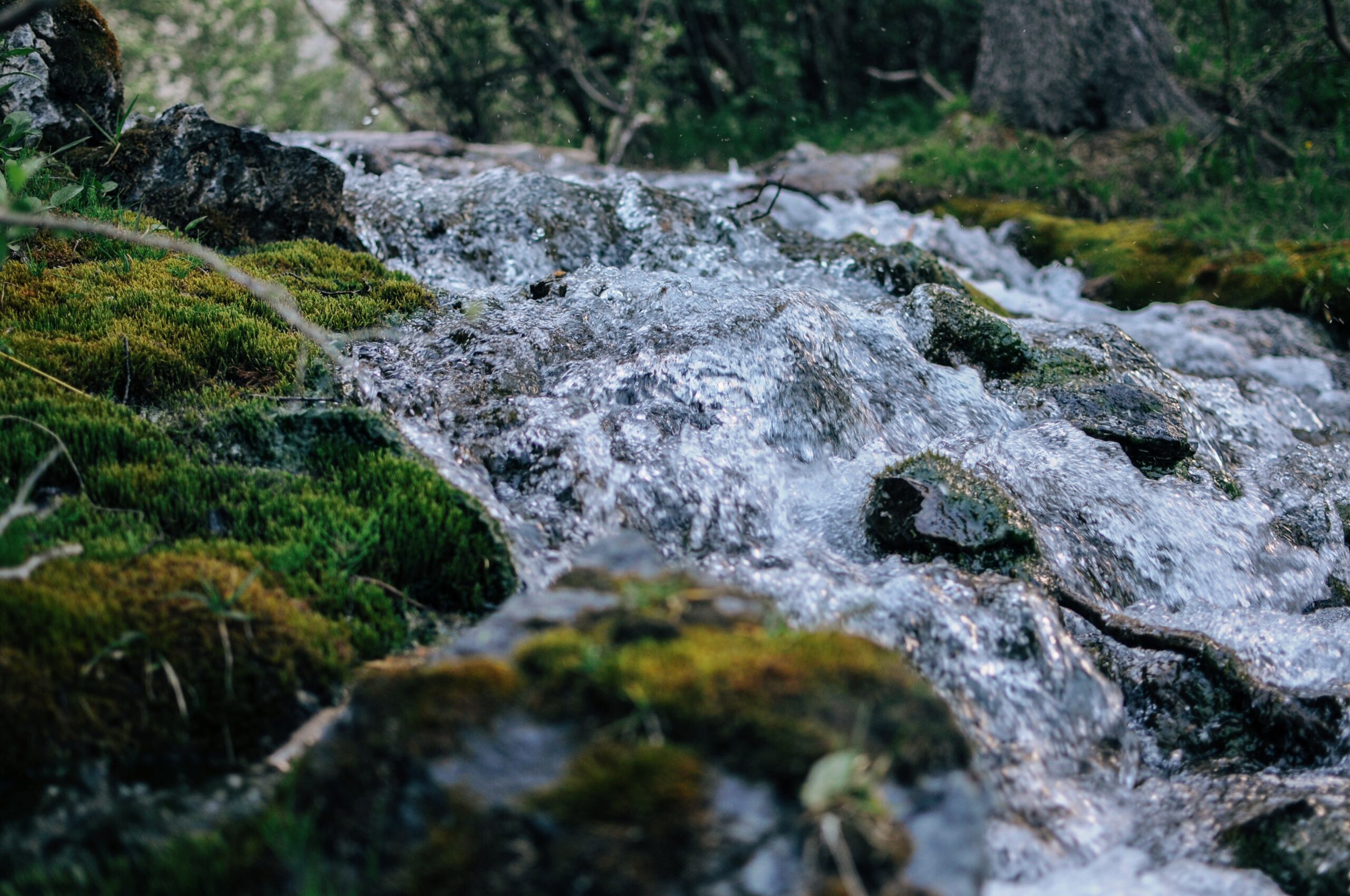 Criză de apă potabilă în Vrancea: Fântânile contaminate, iar autoritățile nu informează corect populația 1 closeup shot water flowing through mossy ground scaled