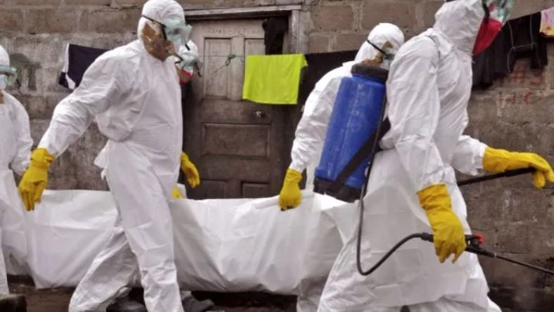 Alertă sanitar-veterinară în Vrancea: Pestă Porcină Africană confirmată la Mărășești 1 pesta porcina vrancea