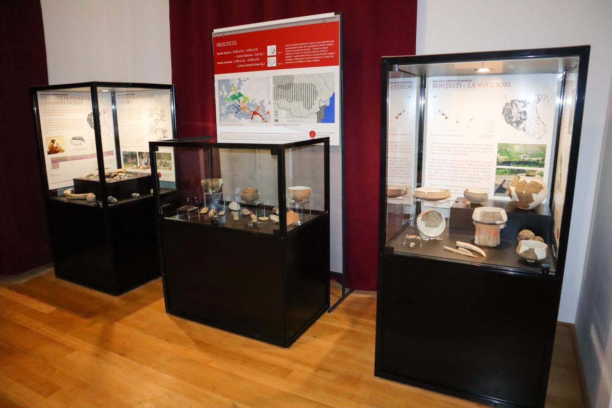 Elevii vrânceni pot vizita gratuit Muzeul Vrancei începând de astăzi 1 Redeschiderea expozitiei permanente a Muzeului de Arheologie si Istorie Medievala 1