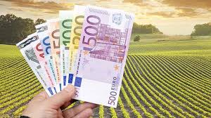 Românul cu 11 salarii /lună: cum își rotunjește câștigurile din stat și privat 1 cereri apia termen 1