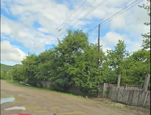 VIDEO - Nemulțumire profundă în comuna Dumitrești: Drumul Poenița–Tinoasa, lăsat în paragină după alegeri 1 drum poenita tinoasa