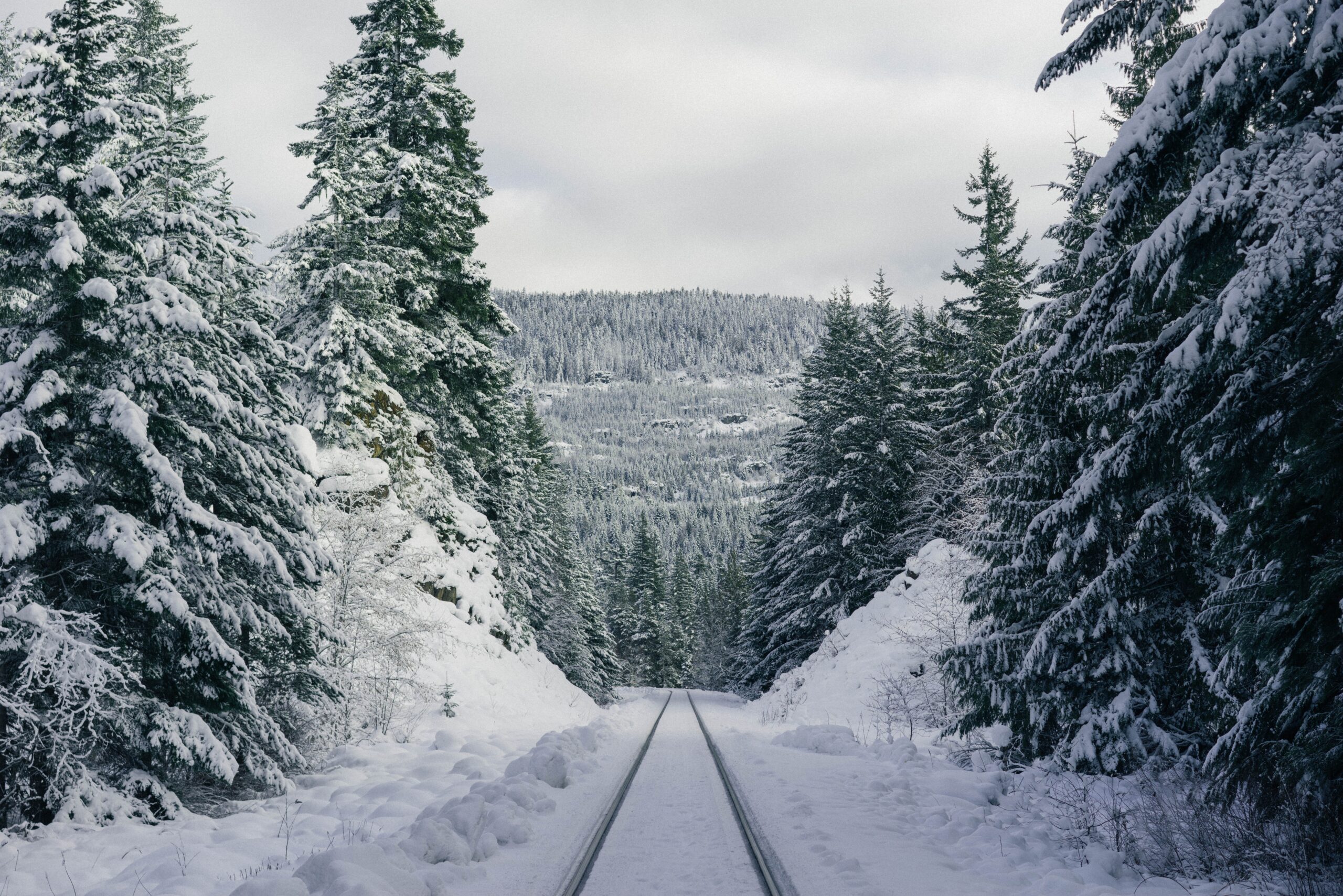 Gerul arctic se întoarce în februarie: meteorologii avertizează asupra unei schimbări importante a vremii 1 ski trails steep snowy hill forest scaled