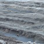 Oraș blocat pe străzile secundare, trotuar necurățat în fața Primăriei la trei zile după ninsoare, Focșaniul încă așteaptă deszăpezirea 4 WhatsApp Image 2026 02 20 at 08.58.57 1